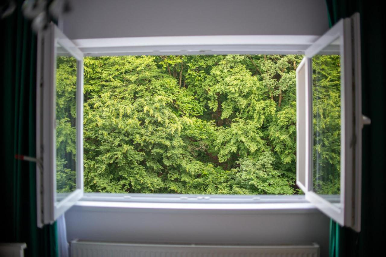 Forest Therapy Suite - Sub Padure Grand Comfort Braşov Exterior foto