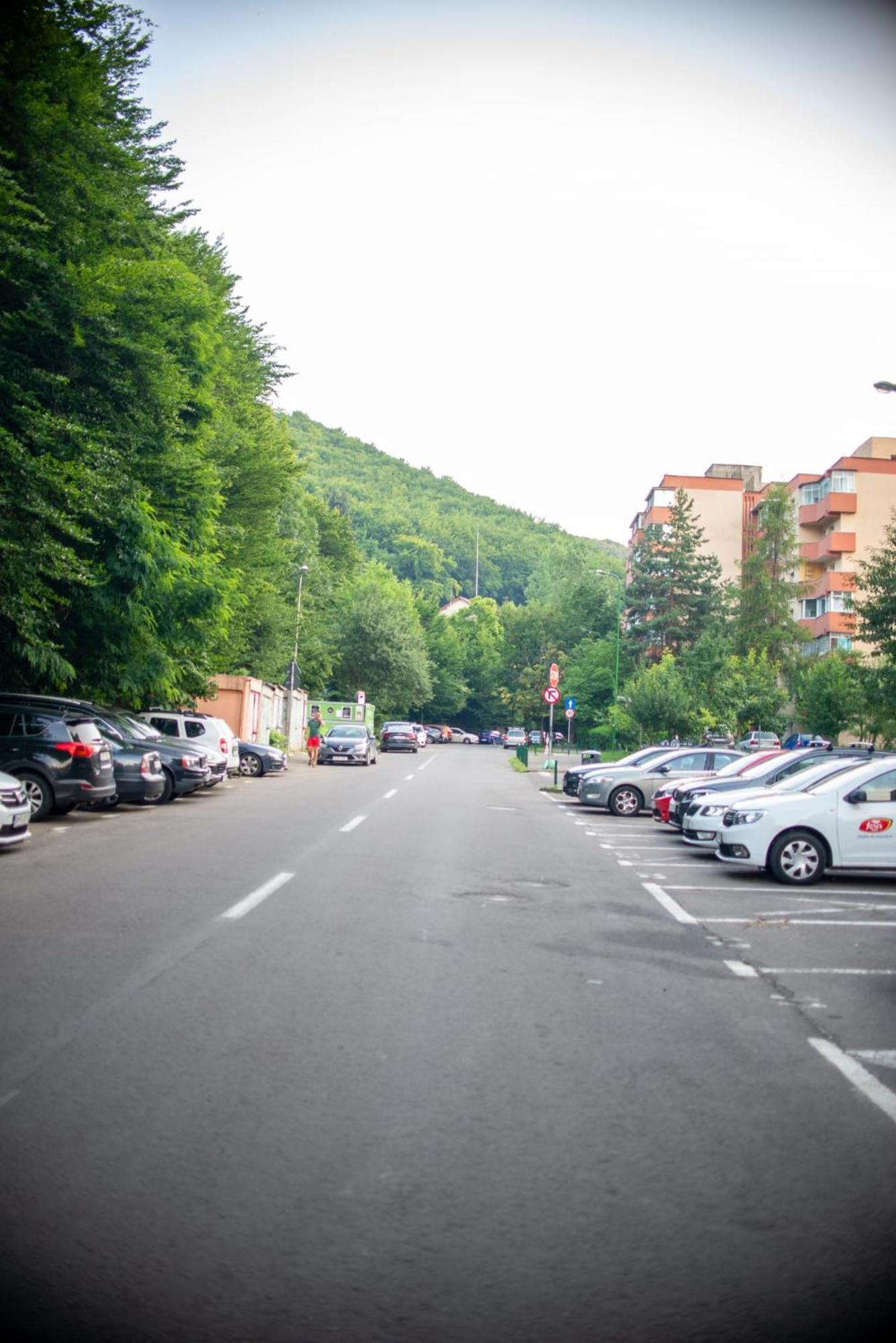 Forest Therapy Suite - Sub Padure Grand Comfort Braşov Exterior foto